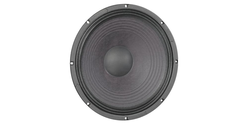 Audibax GR10-DE Altavoz Profesional Woofer 10\